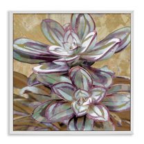 Stupell Industries Rustic Desert Succulents Plants & Flowers Painting White Framed Art Print Wall Art, 17 x 17