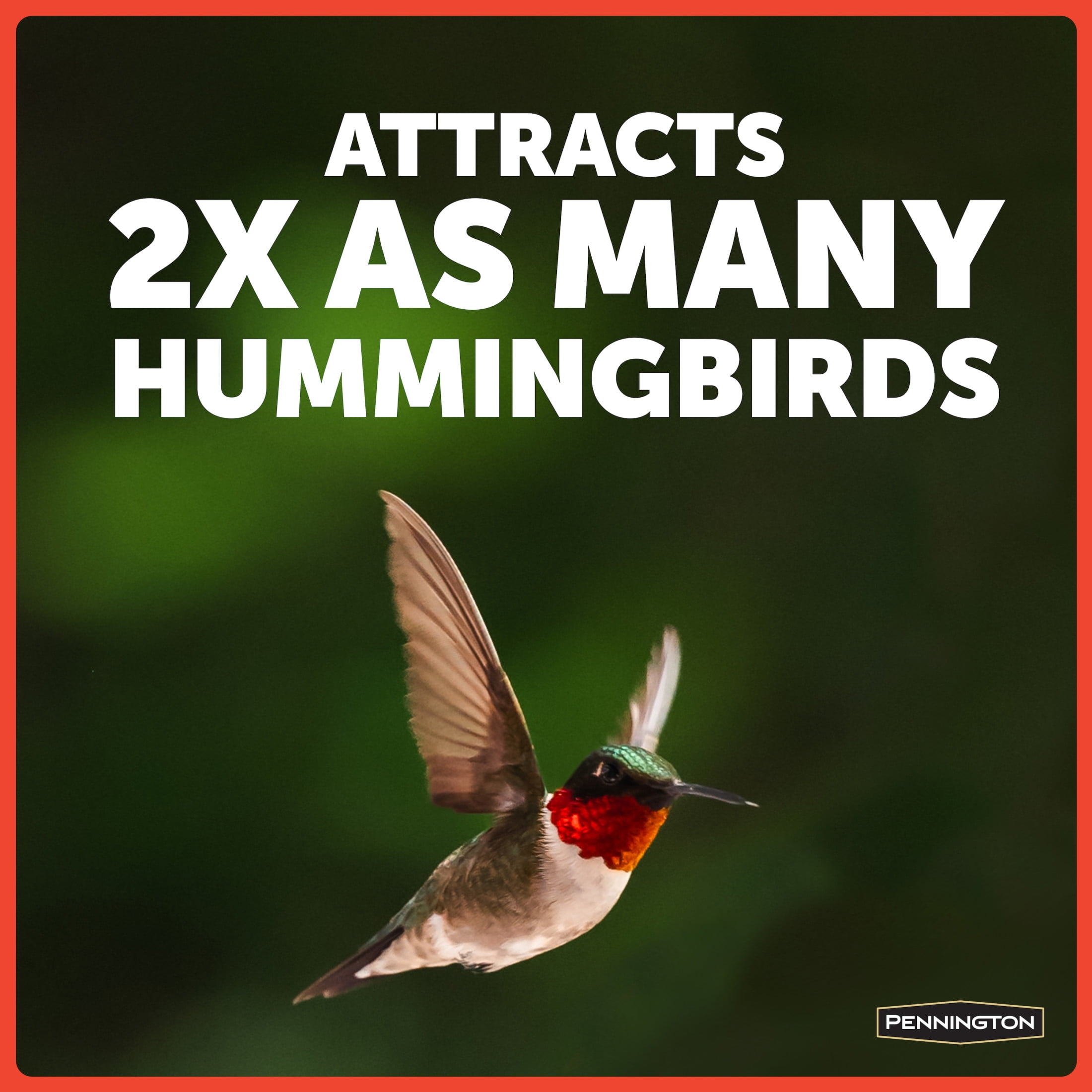 (6 pack) Pennington Glass Red Hummingbird Feeder, 16 oz Nectar Capacity
