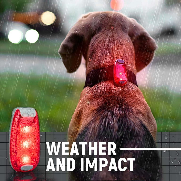 Strobe light dog collar sales