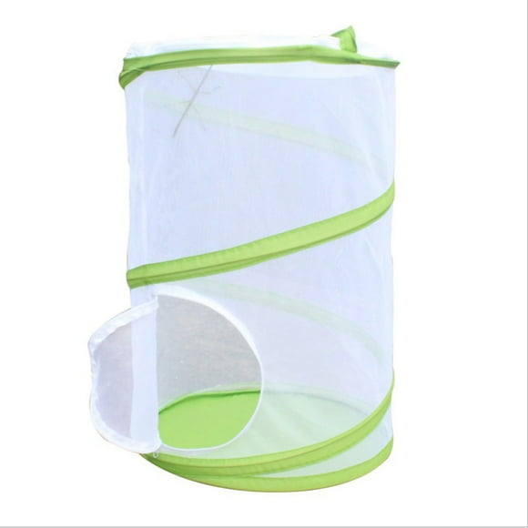 Green and White Insect Cage Portable Bug House Dragonfly Cage Outdoor Nature Exploration Toys for Children Learning