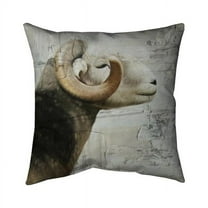 Begin Home Decor 5541-2020-AN455-1 20 x 20 in. Aries-Double Sided Print Indoor Pillow