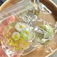 thumbnail image 6 of hulanddfd Easter Basket Fillers - Stretchy Spring Flowers Toys Small Daisies Round Squishys Squeeze Toys Stress Relief Toys for Party Favors Spring Home Decor Holiday Gift for Men and Women, 6 of 9