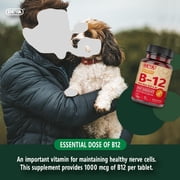 DEVA Vegan Vitamin B12 Fast Dissolve Supplement - Once-Per-Day Complex with 1000 Mcg Methylcobalamin B12, Folic Acid, B6 - Lemon Flavor - 90 Dissolvable Tablets,
