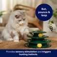 thumbnail image 4 of pack of 2 - Frisco Bee & Leaf Cat Tracks Cat Toy with Catnip, 4 of 5