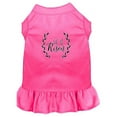 thumbnail image 1 of He Is Risen Screen Print Dog Dress Bright Pink Xxl (18), 1 of 1