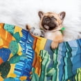thumbnail image 3 of Disketp Bright Paper Cactus Scene Dog Blanket/Bed Cover for Dogs and Cats,Puppy Essentials-Medium, 3 of 8