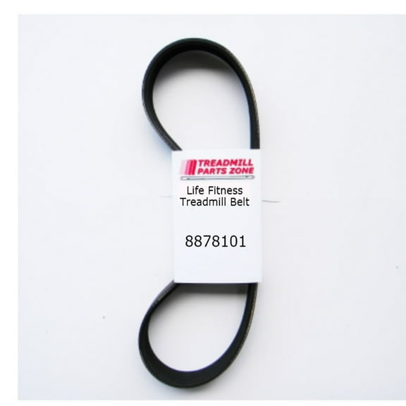 Treadmillpartszone Replacement Life Fitness Treadmill Model FTR-0101-01 Drive Belt Part 8878101