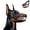 Type-A, variant on Hell Hound Monster Muzzle, Scary Dog Muzzle with Teeth | Lifelike Teeth Mask with Adjustable Straps, for Halloween Party Dogs Beast Terror Pet Lifelike Teeth Mask Photo Shoots Trick