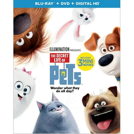 The Secret Life Of Pets (Blu-ray + DVD + Digital HD)