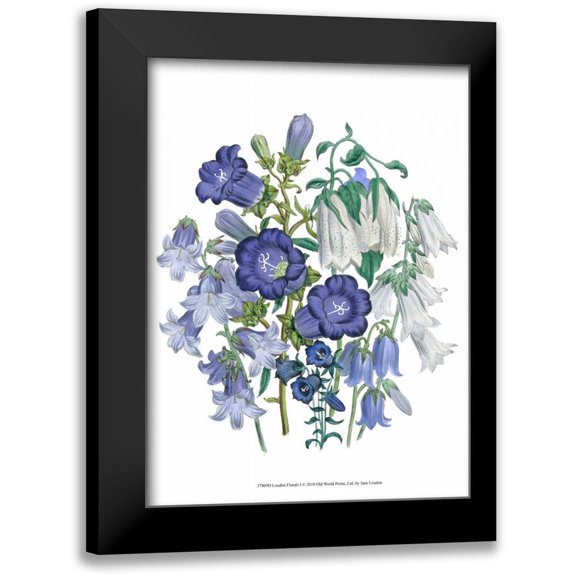 Loudon, Jane 11x14 Black Modern Framed Museum Art Print Titled - Loudon Florals I