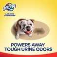 thumbnail image 4 of Resolve Urine Destroyer Steam Carpet Cleaner Solution – 2X Concentrated Formula Urine Eliminator for Pet Stains & Odors, Safe for Bissell, Hoover & Rug Doctor, 60 fl oz, 4 of 8