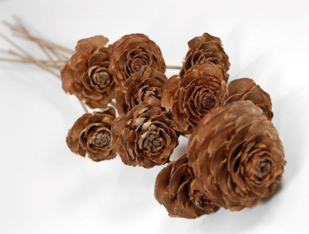 Cedar Roses with 18 stems 8 count