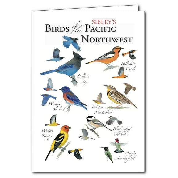 Sibley's Birds Of The Pacific Northwest Student Animal Poster Birthday Gift Children's Room Poster Bedroom Decor Office Decor Gifts