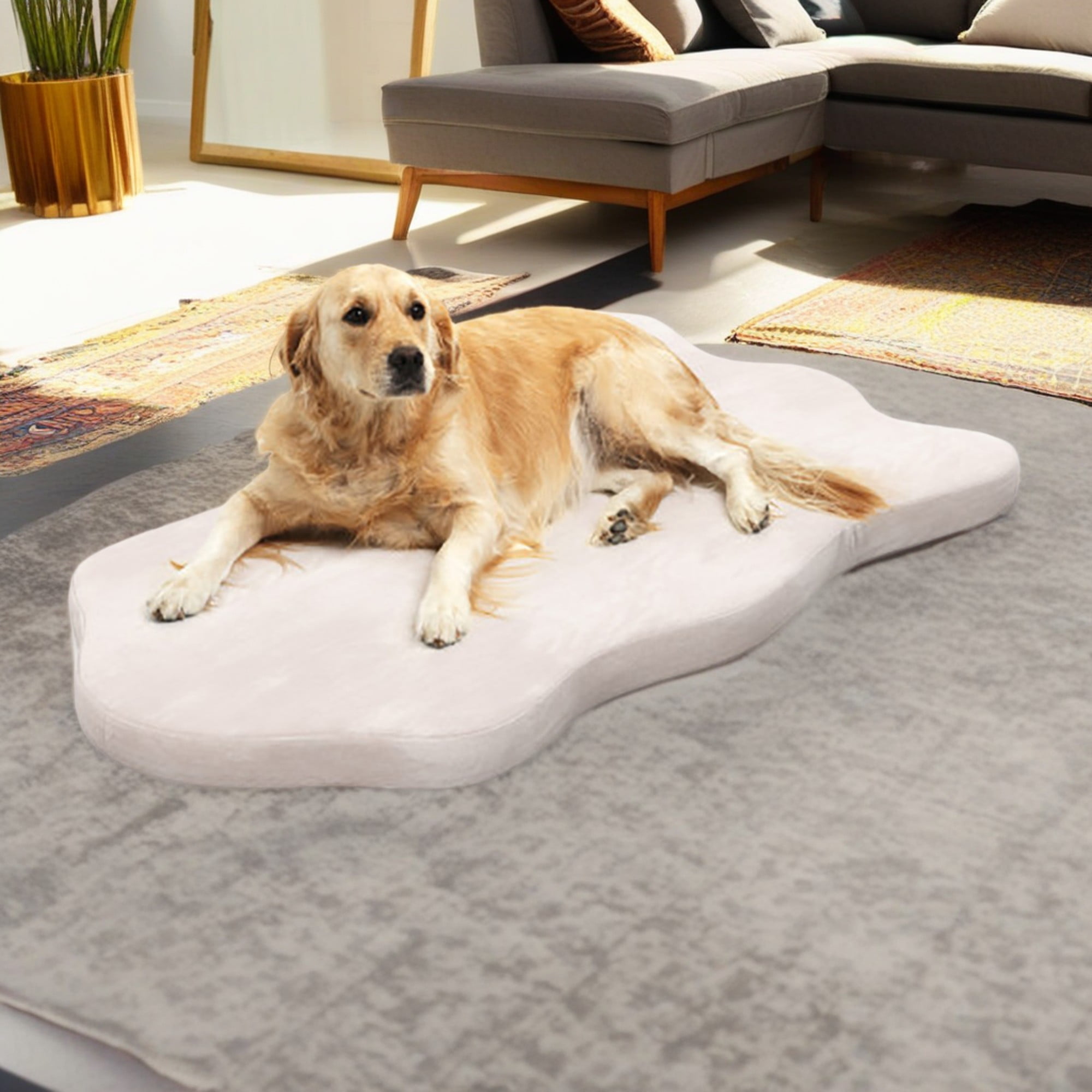 resenkos 43" Orthopedic Dog Bed with Memory Foam Support for Large Breed Dogs, 3" Thick Pet Bed with Removable Cover, Beige