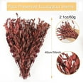 thumbnail image 6 of NOGIS Real Eucalyptus Stems Greenery Decor 16" Dried Willow Eucalyptus Plant Preserved Greenery Stems for Home Vase Filler Wedding Flowers Arrangement Decorations (Red), 6 of 7