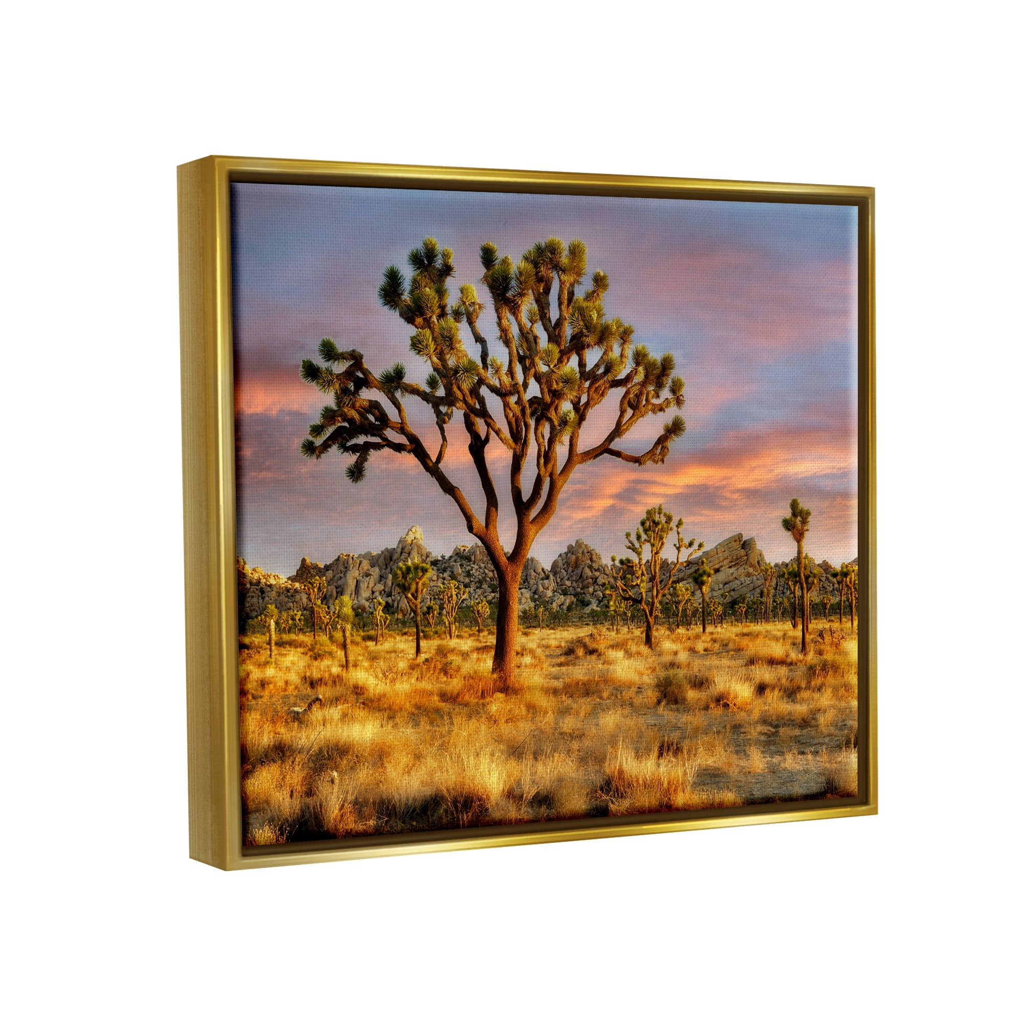 Stupell Industries Savanna Trees Photography Nature Photography Gold Floater Framed Art Print Wall Art, 31 x 25