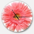 thumbnail image 1 of DesignArt Single Daisy on White Large Wall Clock, 1 of 2