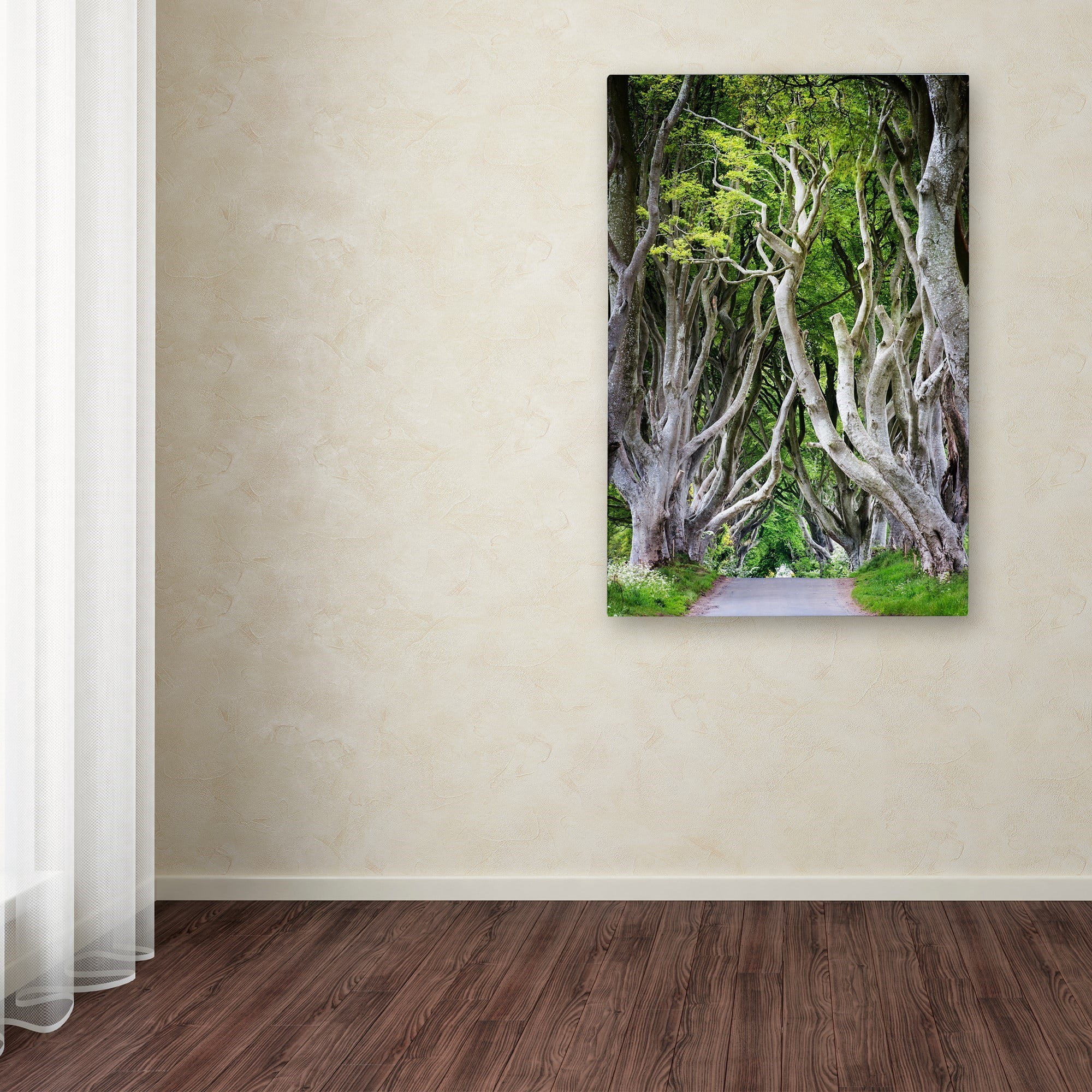 Trademark Fine Art "Down There" Canvas Art by Philippe Sainte-Laudy