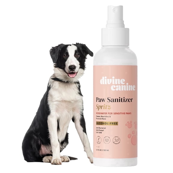 Divine Canine Paw Sanitizer Spritz - Dog Paw Cleaner - Cleans & Protects Paw Pads - Dog Grooming - Soothing Cleaning & Conditioning - Copaiba Oil, Vitamin E - Rosewater for Sensitive Paws - 5.1 oz