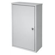 Omnimed  Wall Storage Cabinet with Flat Key Lock, Light Grey, Large