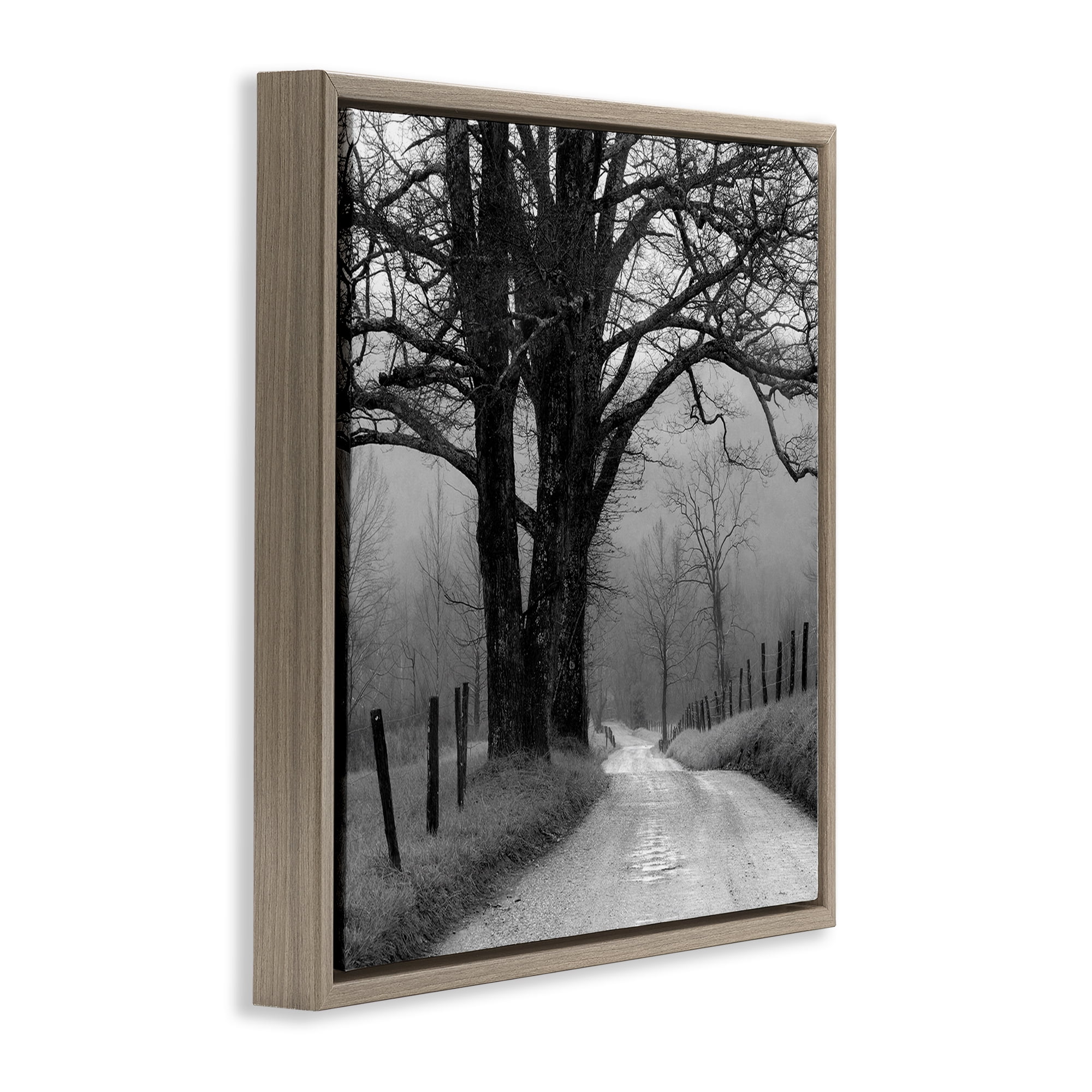 Stupell Industries Lonely Path Toward Trees Landscape & Nature Photography Brown Floater Framed Canvas Art Print Wall Art, 25 x 25