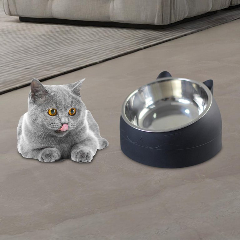 15° Tilt Elevated Pet Dog Cat Bowl Feeder Raised Stand Food Water Bowls  Non-Slip