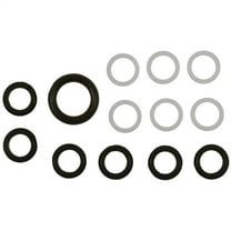 Fuel Rail O-Ring Kit