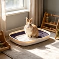 thumbnail image 4 of Small Pet Litter Box Toilet Tray for Rabbits Hamsters Guinea Pigs Hedgehogs Chinchillas Ferrets, Plastic Waste Potty with Detachable Griddle Splash Guard Easy-Clean Cage Accessory, Black, 4 of 6