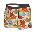 thumbnail image 2 of Daiia Fall Maple Leaves Men's Underwear Boxer Briefs, Cotton Stretch Moisture-Wicking Underwear-Medium, 2 of 9