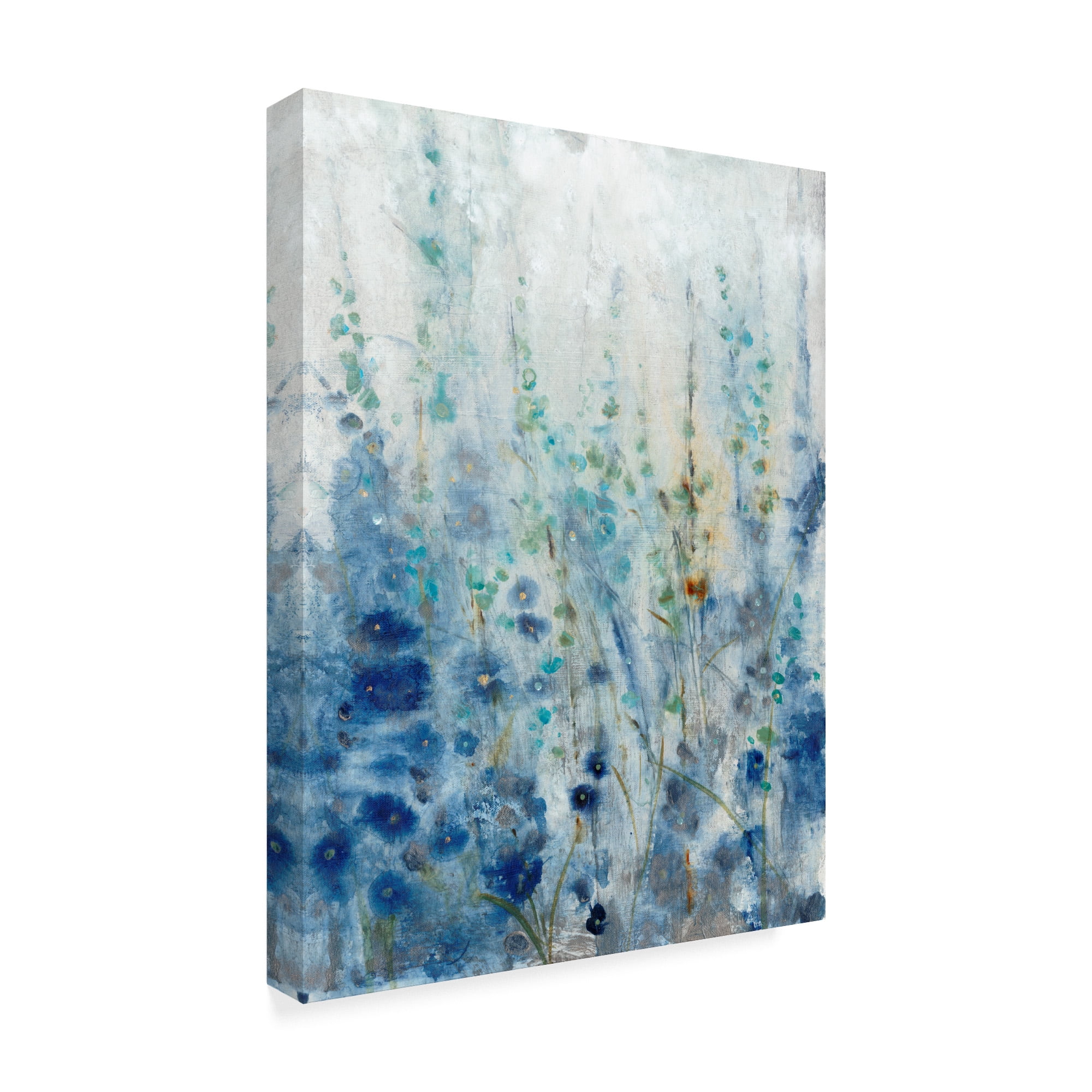 Trademark Fine Art 'Misty Blooms II' Canvas Art by Tim OToole