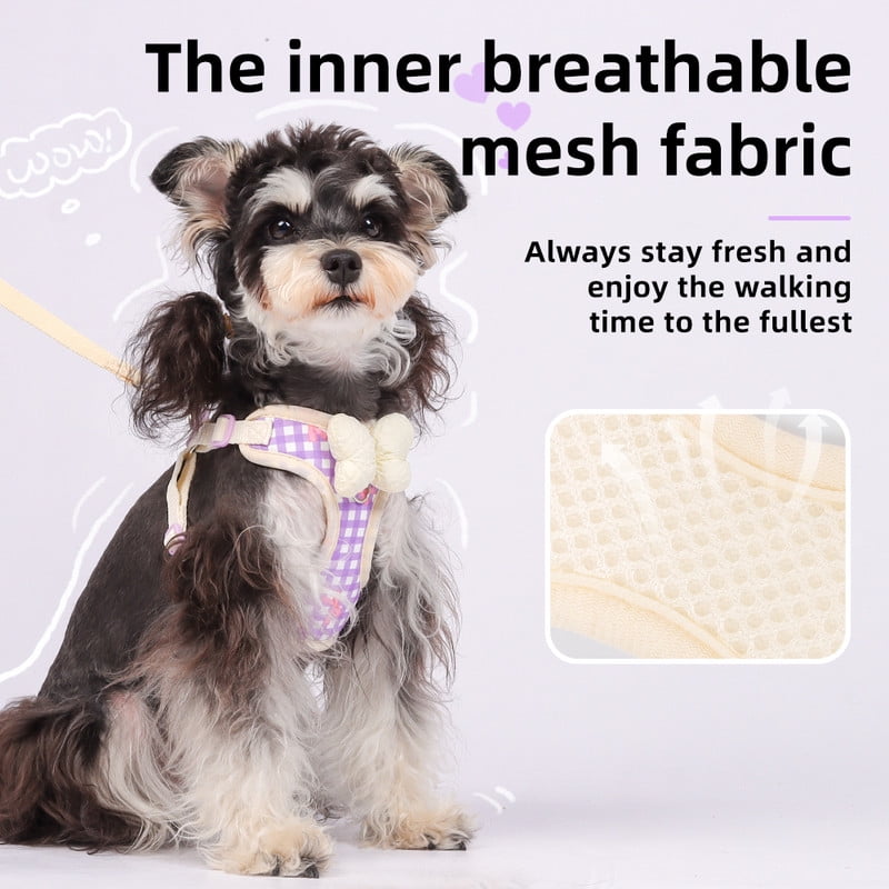 Small Dog Chest Harness with Bow, Cute Harness for Kitty Puppy Bunny,djustable Kitten Harness and Leash Set
