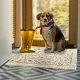 thumbnail image 2 of Ultrug Vintage Floral Rugs Soft Boho Area Rug Indoor Carpet for Living Room Bedroom Home Decor,2'x3',Light Yellow, 2 of 6