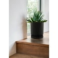 thumbnail image 5 of Veradek Mason Series Kona 10" Plastic-Stone Planter Tray 2-Pack Black, 5 of 8