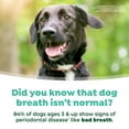thumbnail image 5 of Fresh Breath By TropiClean Oral Care Water Additive Plus Hip & Joint for Dogs, 33.8 oz, 5 of 8