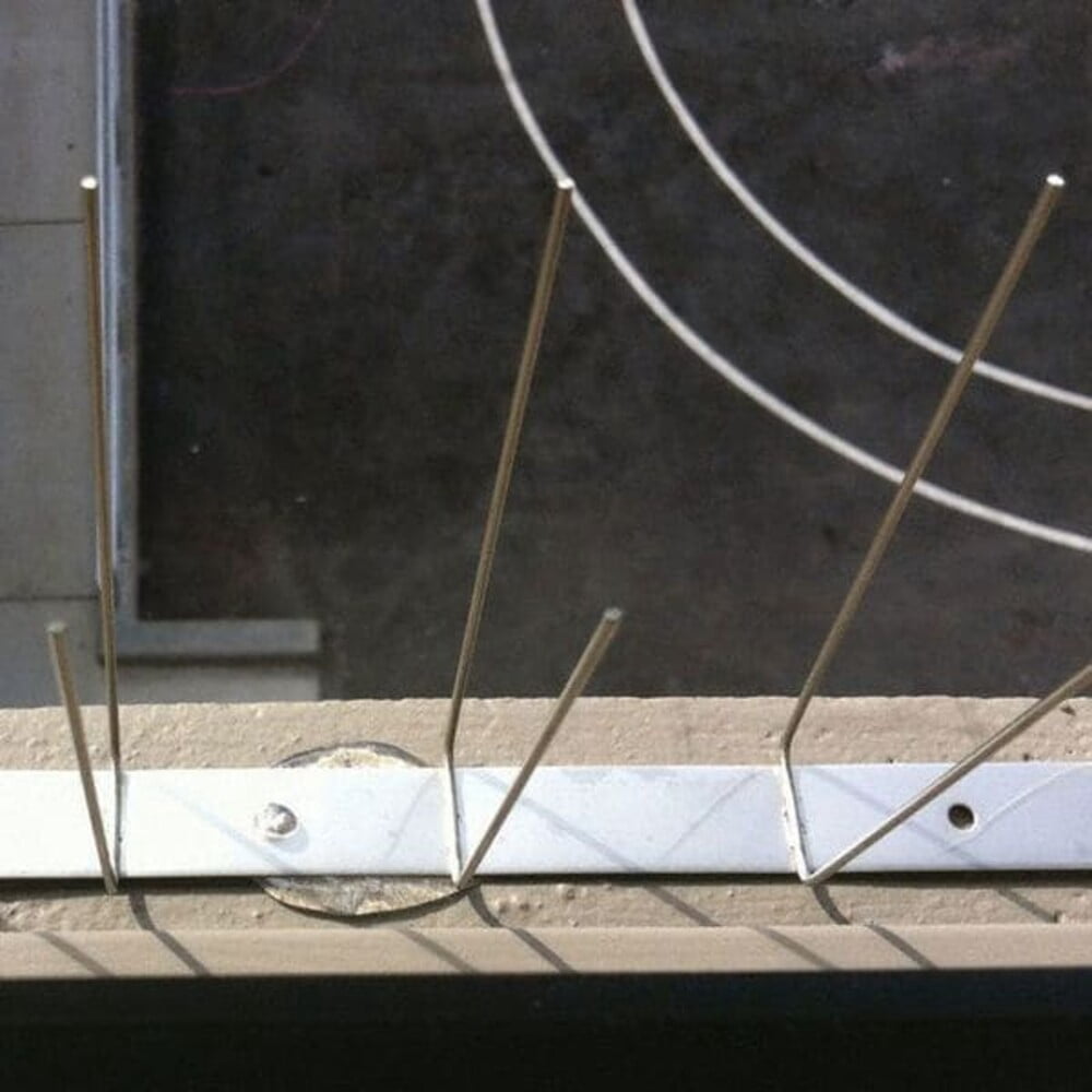 Bird Repellent Spikes,Bird-Flite, 25 ft. BP-F125