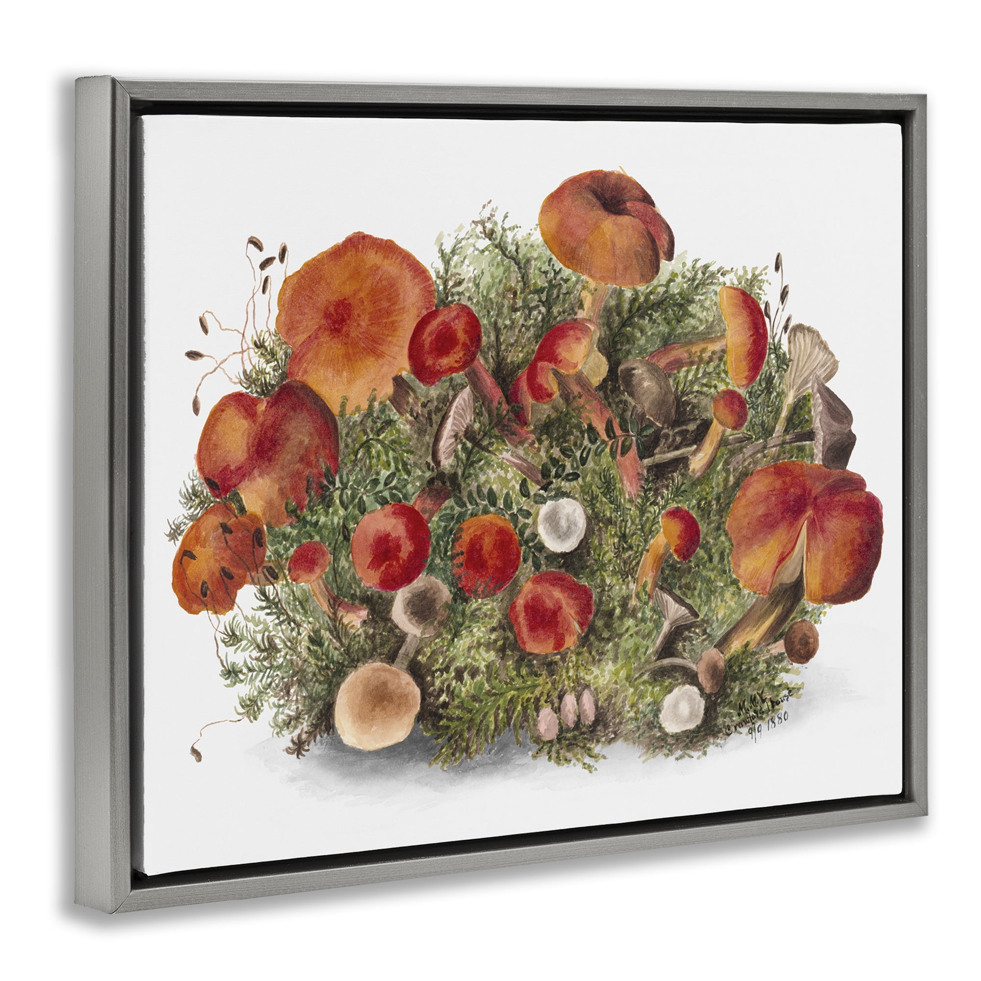 Stupell Industries Rustic Cottage Mushrooms Botanical & Floral Painting Gray Floater Framed Art Print Wall Art, 21 x 17