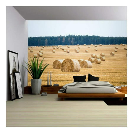 wall26 - Hay Bales on The Field After Harvest - Removable Wall Mural | Self-Adhesive Large Wallpaper - 100x144 (Best Way To Clean Walls After Removing Wallpaper)