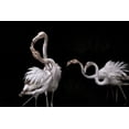 thumbnail image 2 of Benezech, Martine 24x17 Gold Ornate Wood Framed with Double Matting Museum Art Print Titled - Tango And Flamingos, 2 of 4