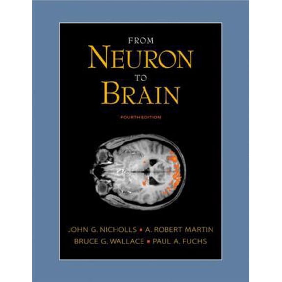 Pre-Owned From Neuron to Brain: A Cellular and Molecular Approach to the Function of the Nervous System, Fourth Edition (Hardcover) 0878934391 9780878934393