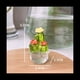 thumbnail image 3 of 4 Piezas de Adornos Interiores para AutomóViles, Figuras ArtíSticas de Cactus, DecoracióN del Hogar, Adornos de Cactus de Plantas en Miniatura para Manualidades de Escritorio A, 3 of 8