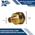 thumbnail image 2 of Adaptador XFITTING Pex de 1/2 pulgada x 1/2 pulgada hembra NPT, 25 unidades, 2 of 6