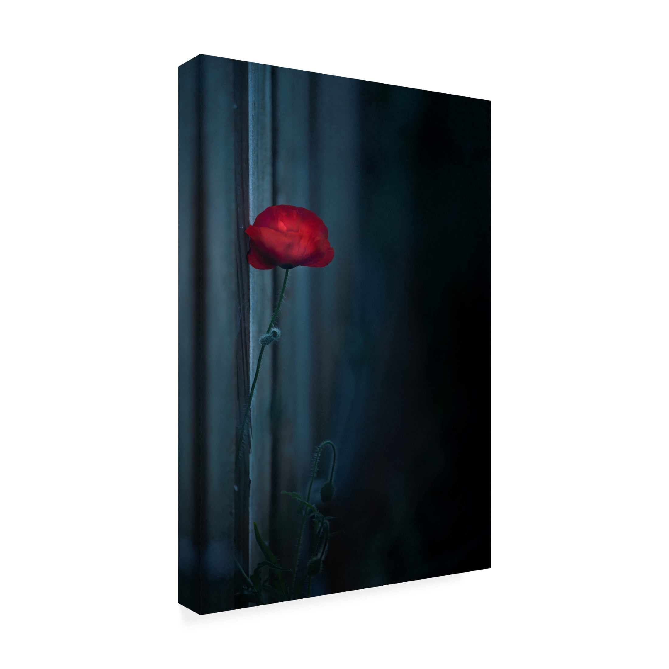 Trademark Fine Art Judy Tseng Waiting Canvas Wall Art
