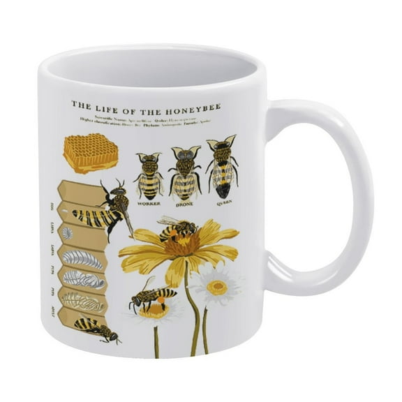 Antique Bees Prints Mug, Insects Vintage Biology Bee Mug,Educational Painting Bee Mug, White Mug,Funny Coffee Mug,The Best Gift for Colleagues,Parents,And Grandparents,110z Men And Women