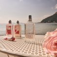 thumbnail image 4 of Rosa de L'Occitane L'OCCITANE ROSE EDT SPRAY 2.5 OZ, 4 of 4