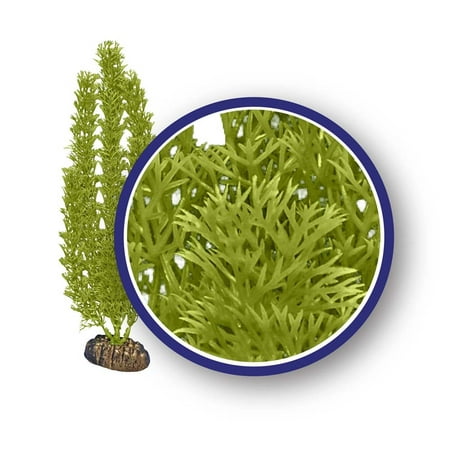 Weco Freshwater Series Green Foxtail Ornaments Tropical Aquatic Plants 6 (Best Freshwater Refugium Plants)