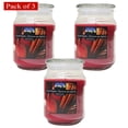 thumbnail image 1 of Citi-Lites Pot Apothicaire 18 Onces-Pomme Épicée (Lot de 3), 1 of 3