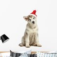 thumbnail image 1 of Malamute Puppy Christmas Hat Wall Decal by Wallmonkeys Peel and Stick Graphic (36 in H x 24 in W) WM244655, 1 of 4