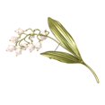 thumbnail image 1 of Fashion Brooch Orchids Brooch Stylish Clothing Pin Fixed Clothes Pin Sweater Pin Fashion Clothing Jewelry Accessory, 1 of 4