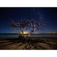 thumbnail image 3 of Brackstone, Mel 14x12 Black Modern Framed Museum Art Print Titled - The Tree, 3 of 5