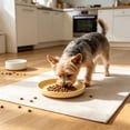 thumbnail image 4 of 4 Pack Dog Plates, Shallow Whisker Friendly Wide Bowls for Kittens and Small Dogs, 4 of 6